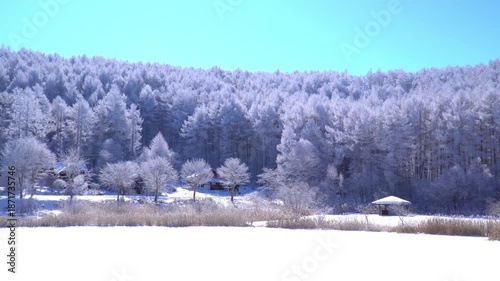 聖高原　中牧湖の霧氷