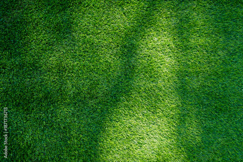 Billede på lærred Top view of green grass background. Green turf