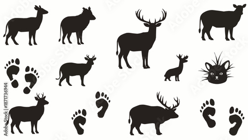 Deer and Animal Footprint Silhouettes Collection.