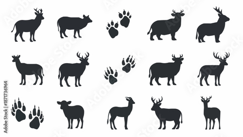 Deer and Animal Footprint Silhouettes Collection.