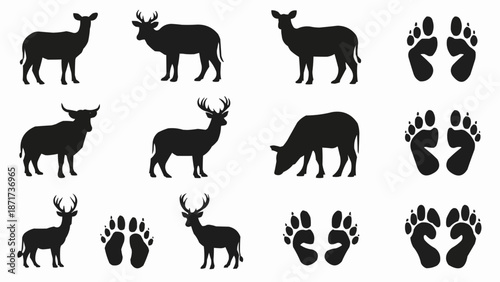 Deer and Animal Footprints Silhouettes Collection.