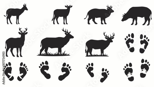 Deer and animal footprints silhouettes collection.