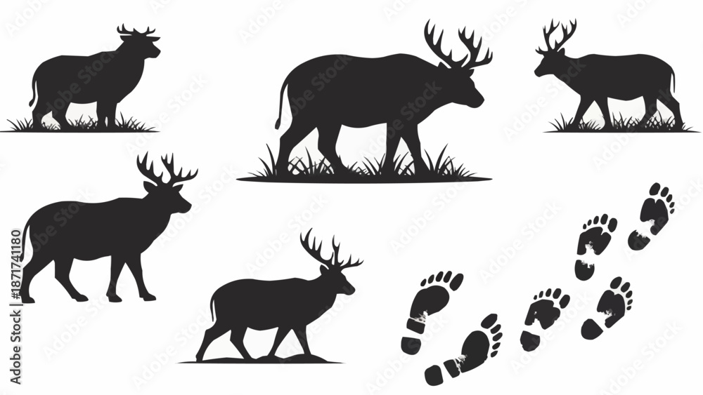 Fototapeta premium Deer Silhouette Collection with Footprints.