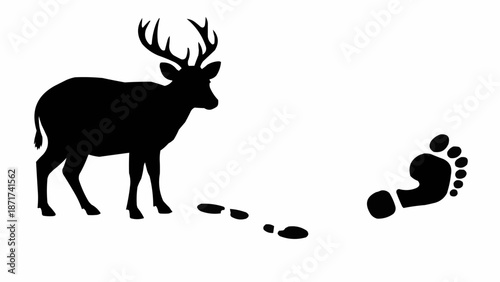 Deer Silhouette and Footprints on White Background.