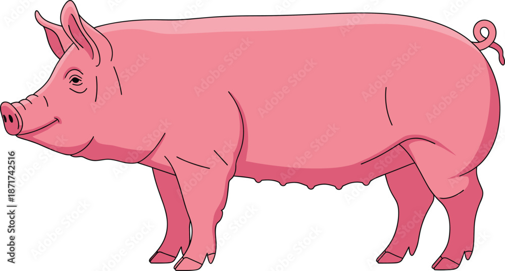 Fototapeta premium Pink farm pig illustrated in detailed side view, perfect for agriculture, livestock, farming, and animal-themed vector designs