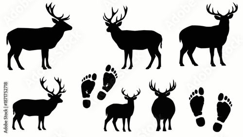 Deer Silhouettes and Footprints Collection.