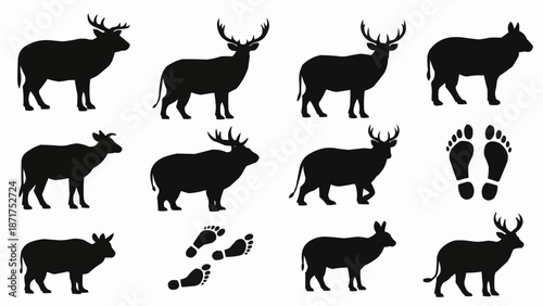 Deer Silhouettes and Footprints Collection.