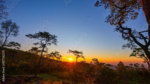 Time lapse A peaceful sunrise over the high mountains of Phu Ruea National Park, where soft golden light filters through tall pine trees, creating a calm and refreshing natural atmosphere.