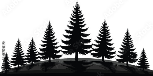 Black silhouette of pine tree forest on hill, nature landscape background, spruce fir wood, cad drawing flat vector illustration