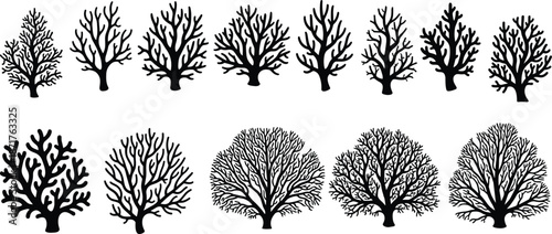 Leafless tree and coral silhouettes set, vector black branch collection, isolated winter nature elements, dead roots, flat illustration