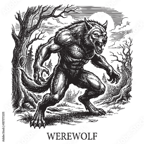 Werewolf in Spooky Forest Full Moon Engraving Illustration