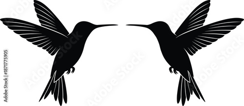 Hummingbird silhouette vector, symmetrical flying birds, black minimal design, mirrored composition, wildlife art, flat illustration, isolated white background, cad drawing flat vector illustration