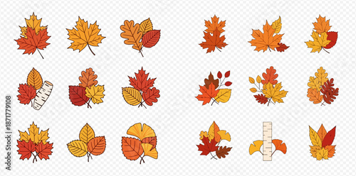Set of colorful autumn leaves illustrations, including maple, oak, and birch, in various arrangements.