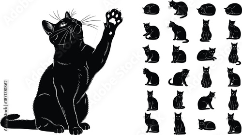 Black cat silhouette illustration set with playful paw pose and multiple sitting positions, elegant feline vector collection for pet design and decoration