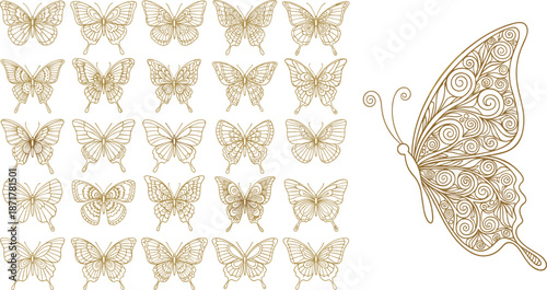 Golden butterfly line art set, intricate wing pattern illustrations, decorative insect vector, elegant nature-inspired design, artistic entomology graphics