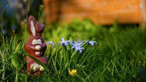 Foto View of a chocolate Easter bunny placed in a garden for a scavenger hunt