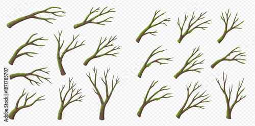 Set of bare tree branches and trunks without leaves, isolated on transparent background.