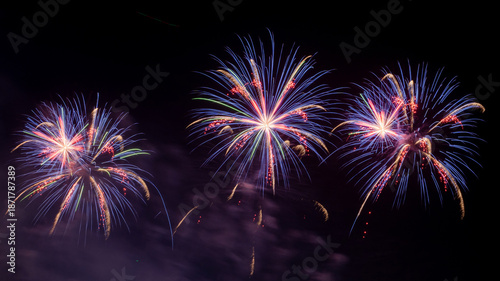 The splendid fireworks show