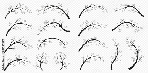 Set of decorative tree branches with small leaves and curls, elegant natural design elements for various creative projects.