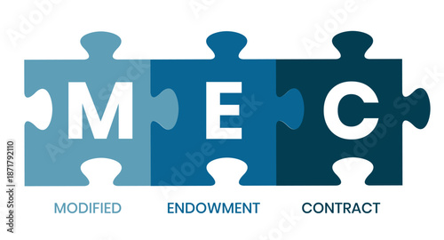 MEC, Modified Endowment Contract acronym. Concept with keyword and icons. lettering illustration with icons for web banner, flyer, landing page	