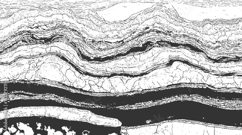 Detailed monochrome abstract background featuring intricate layered geological strata with cracked surfaces and organic wavy lines suggesting natural formations and textures