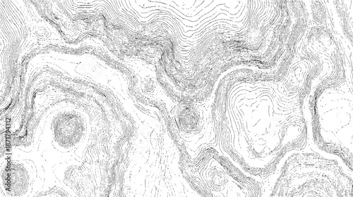 Topographic map rendered with fine contour lines in monochrome illustrating undulating hills and circular formations representing elevation changes and geographical patterns in a scientific visual