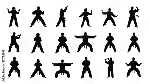Silhouettes of people performing various martial arts stances and movements