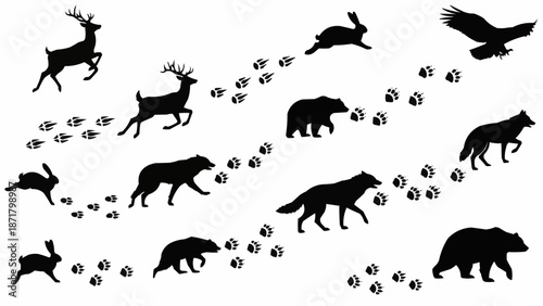 Wild Animal Silhouettes and Footprints Collection.