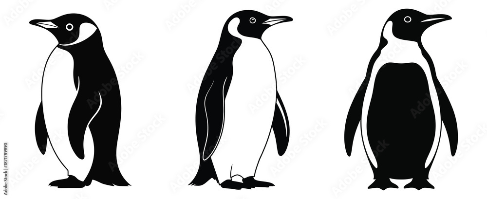 Fototapeta premium penguin silhouette simple silhouette icon set, silhouette icons collection with solid styles, a premium ranked illustration set featuring minimalist winter icons, solid black graphics, and v