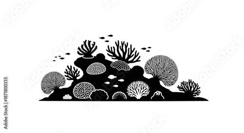 Photography Coral Reef with Sea Creatures Silhouette.
