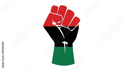Raised Fist with Palestinian Flag Colors Symbolizing Solidarity and Resistance