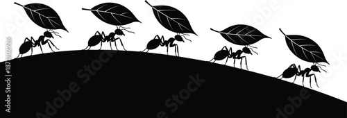 Silhouette of six ants carrying leaves in a line over curved terrain, symbolizing teamwork, diligence, cooperation, and industrious behavior in nature