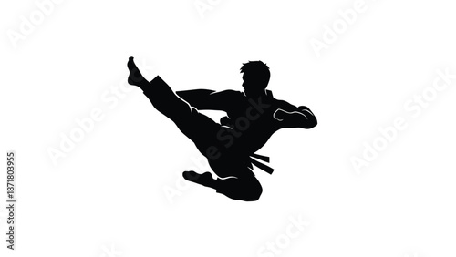 Martial arts silhouette of a man in a fighting stance white with kick and karate on whit background