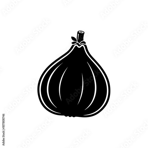 Illustration of a single onion