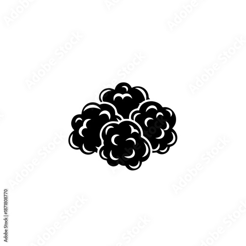 Black and white floral design