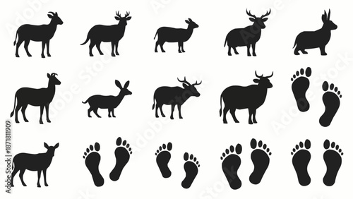 Deer and Footprint Silhouettes Collection.