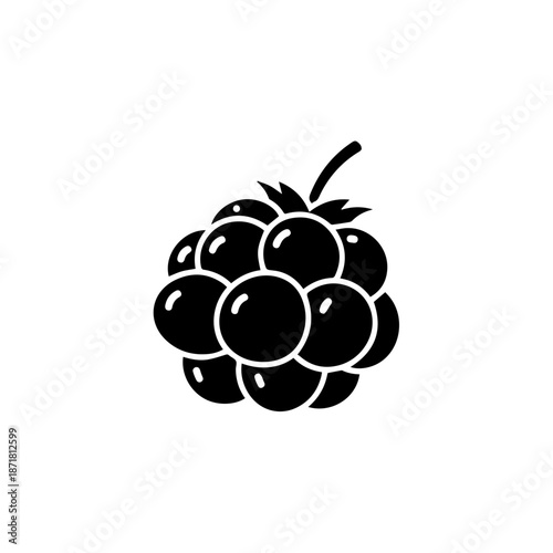 Single blackberry illustration