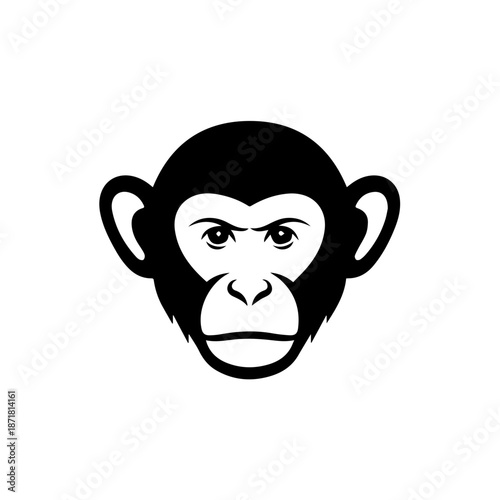 Close-up of a monkey's face