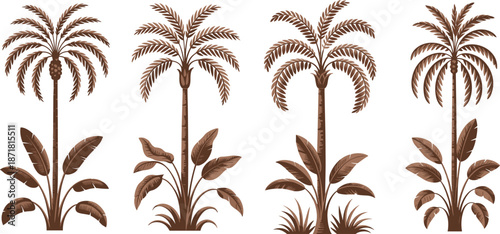 Golden tropical palm tree collection, exotic jungle plants illustration, vintage botanical vector set, nature landscape design