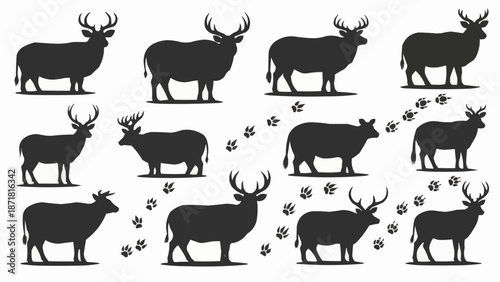 Deer Silhouette Collection with Paw Prints.