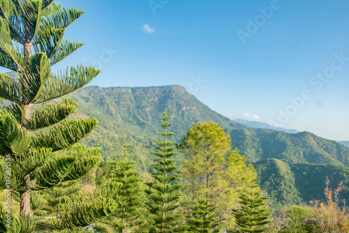 Peaceful Morning Atmosphere at a Mountain Viewpoint, Serene Mountain Range with Evergreens Under Soft Morning Light