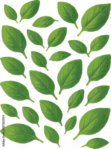 Scattered green basil leaves on white background herb