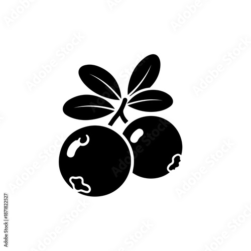 A pair of black berries