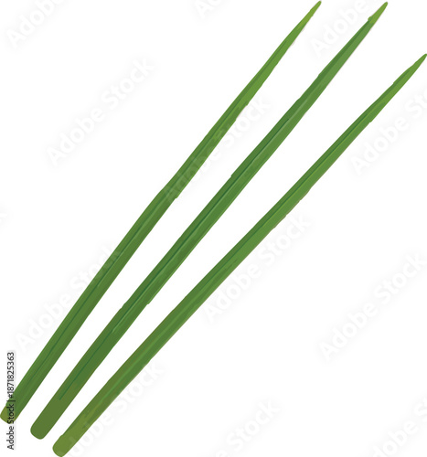 Three Slender Green Chives on White Keywords: chives, green, herb, vegetable, fresh, long, thin