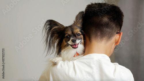 Fotografía Happy small dog Papillon spaniel sitting on man’s shoulder
