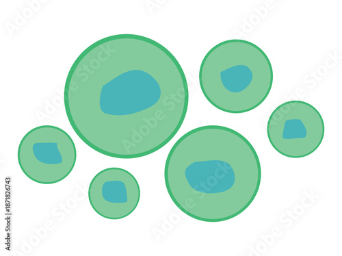 Hand Drawn Peroxisomes Cell Anatomy
