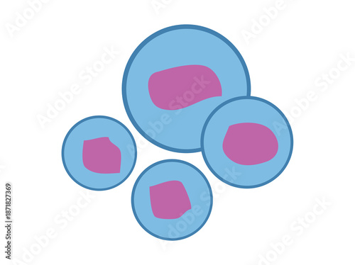 Peroxisomes Cell Anatomy Clip Art
