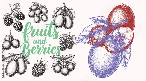 Hand drawn collection of fruits and leaves in vintage engraving style