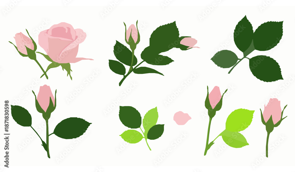 Fototapeta premium Set of pink rosebud decorative vector elements on white background