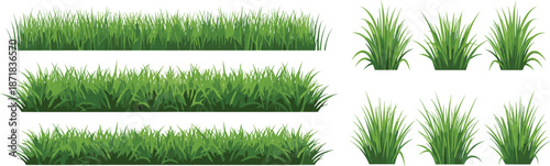 Green grass vector collection featuring horizontal lawn borders and isolated meadow tufts, flat illustration set for spring nature garden design.